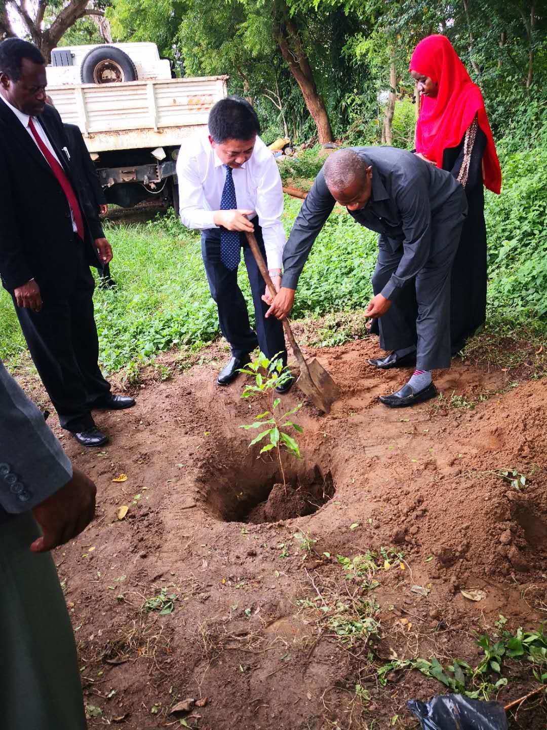 图4 在农业资源畜牧业部种植友谊之树-丁香.jpg